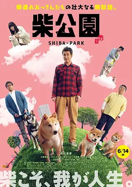 亚洲国产精品丝袜国产自在线