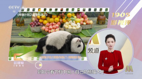 免费草莓视频